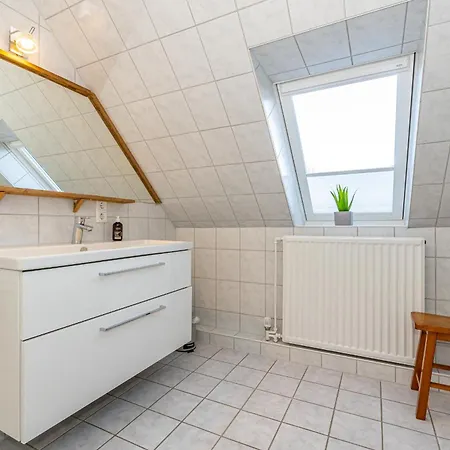 Lachmoewe * Sylt